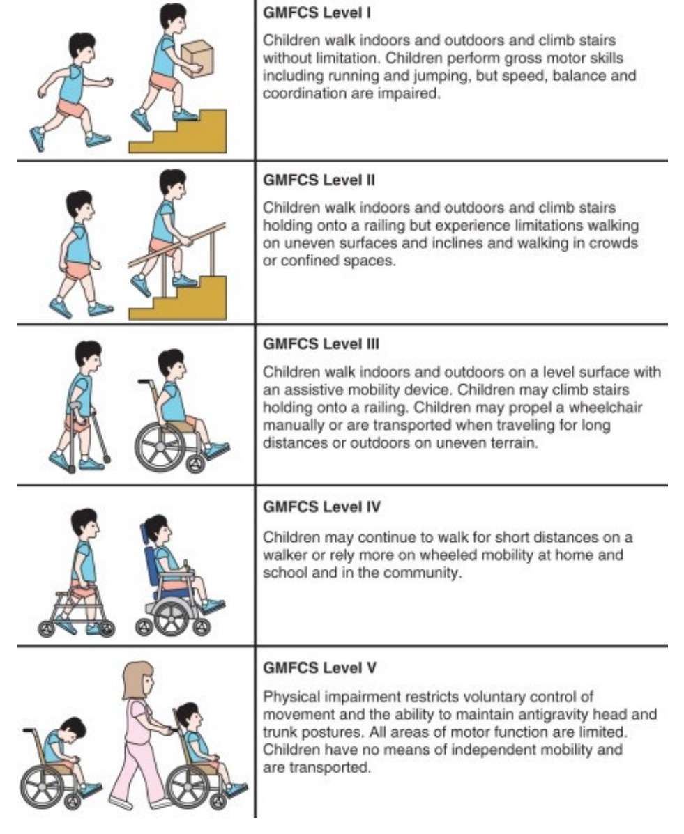 Classification / diagram