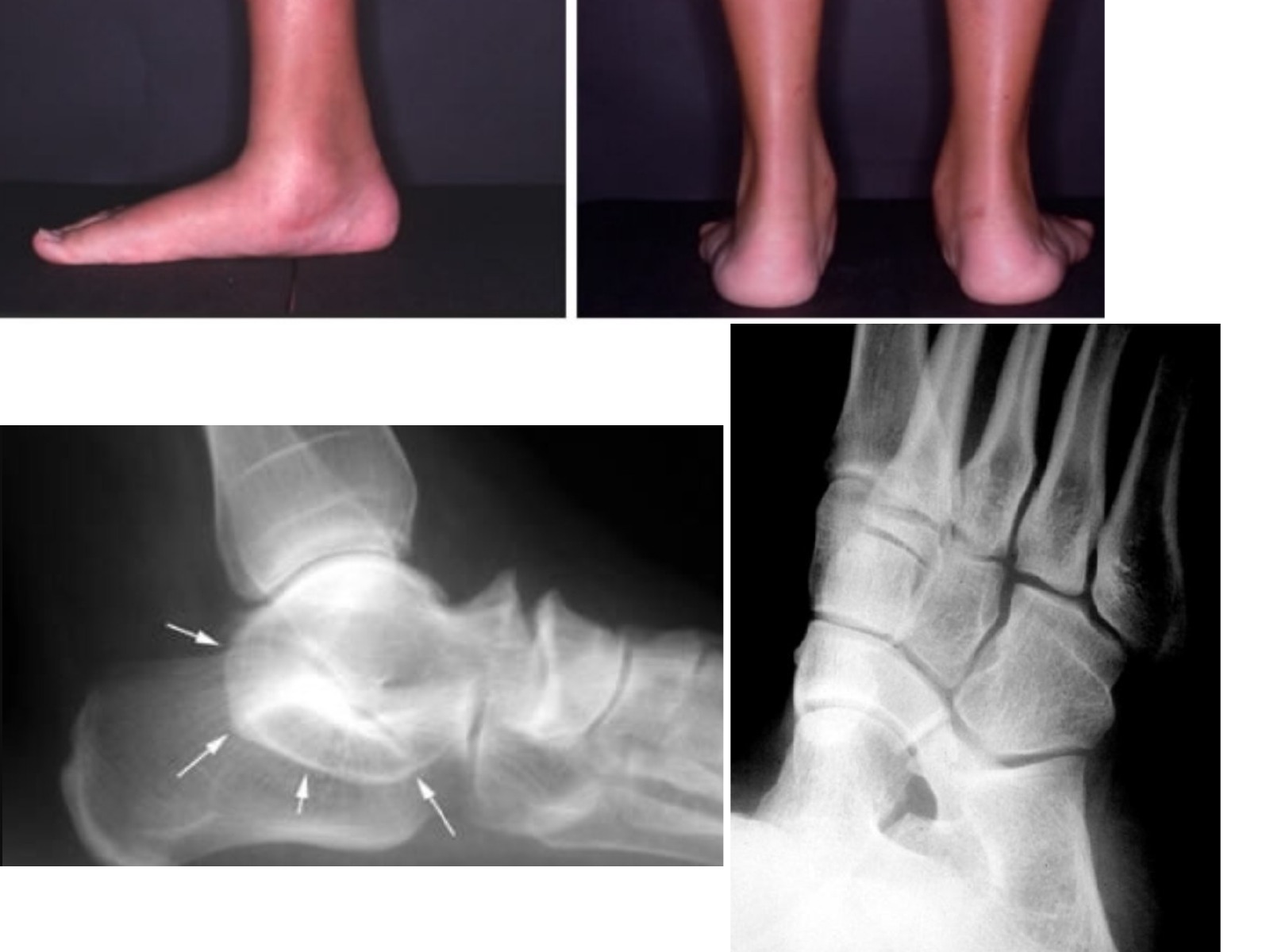 Slide 36 thumbnail