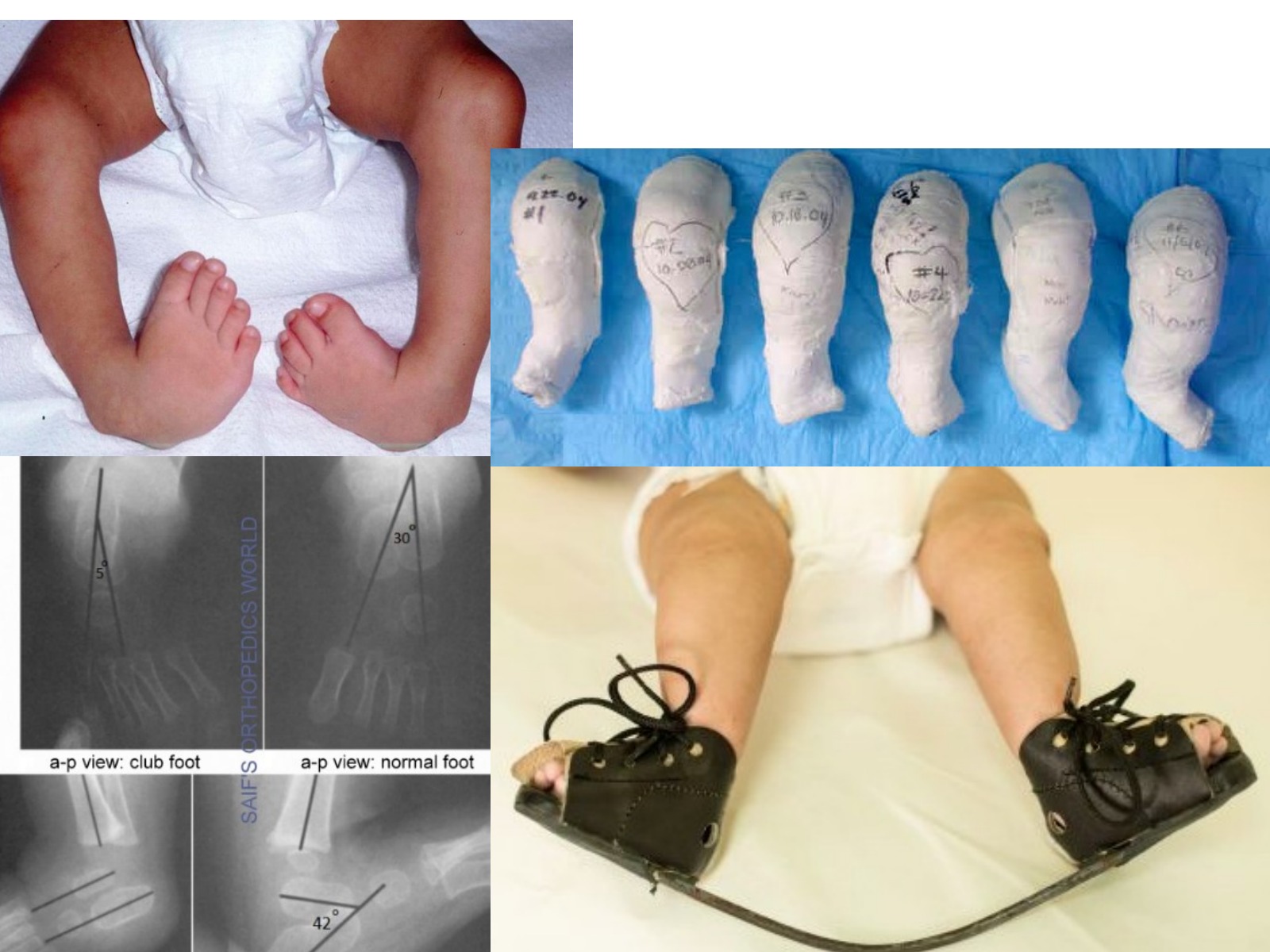 Slide 38 thumbnail