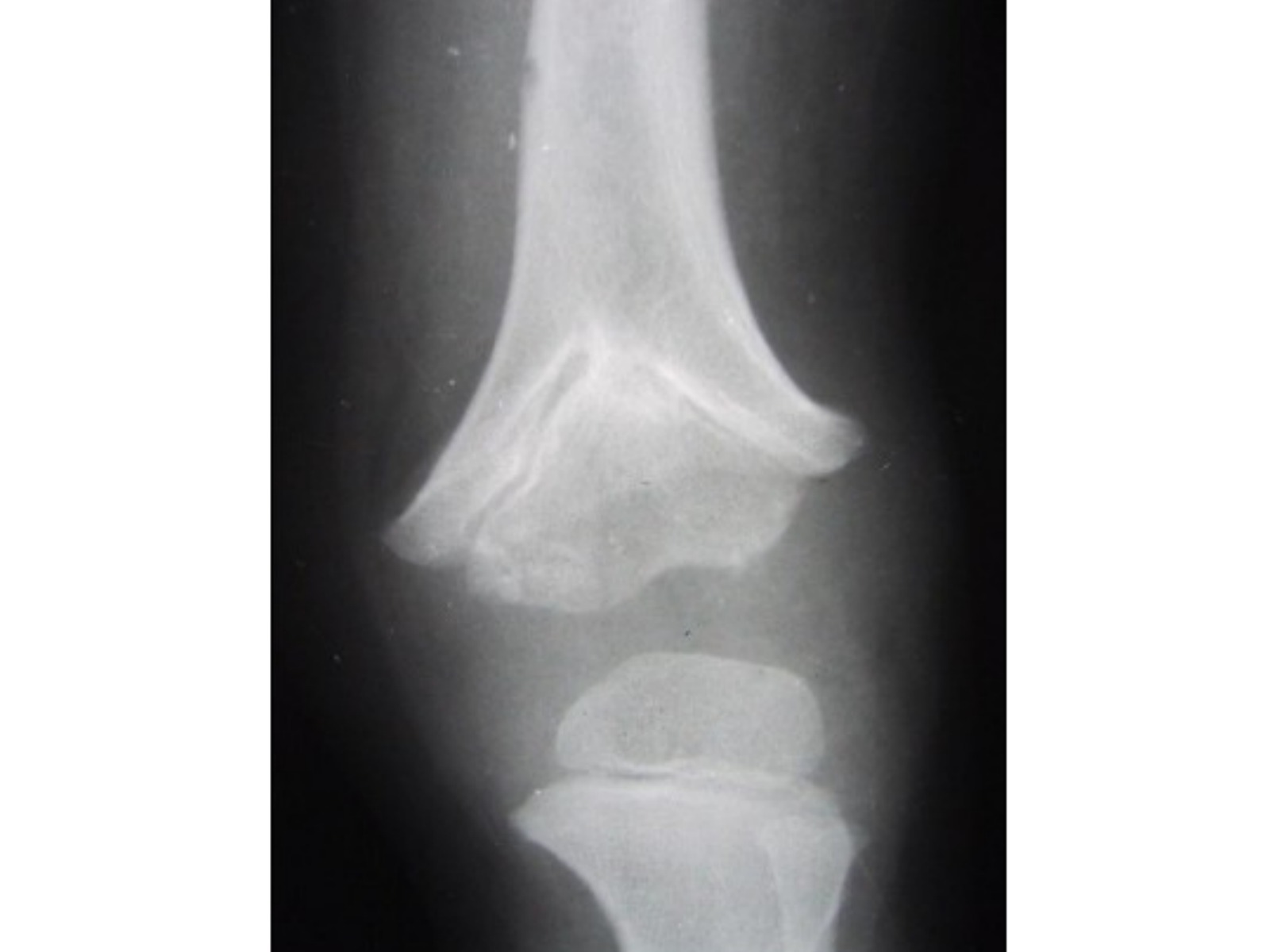 Slide 40 thumbnail