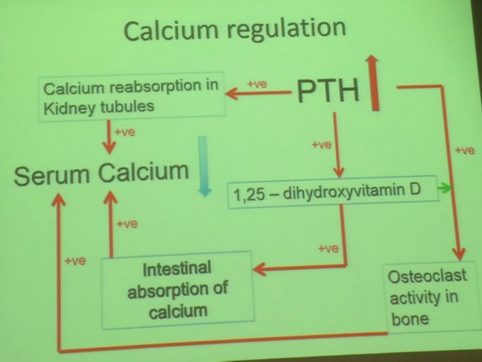 Slide 57 thumbnail