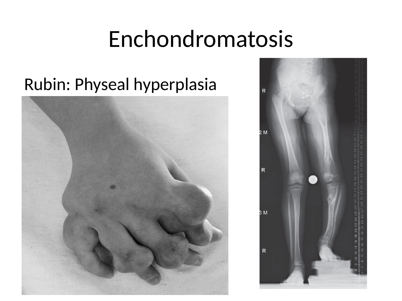 Slide 65 thumbnail
