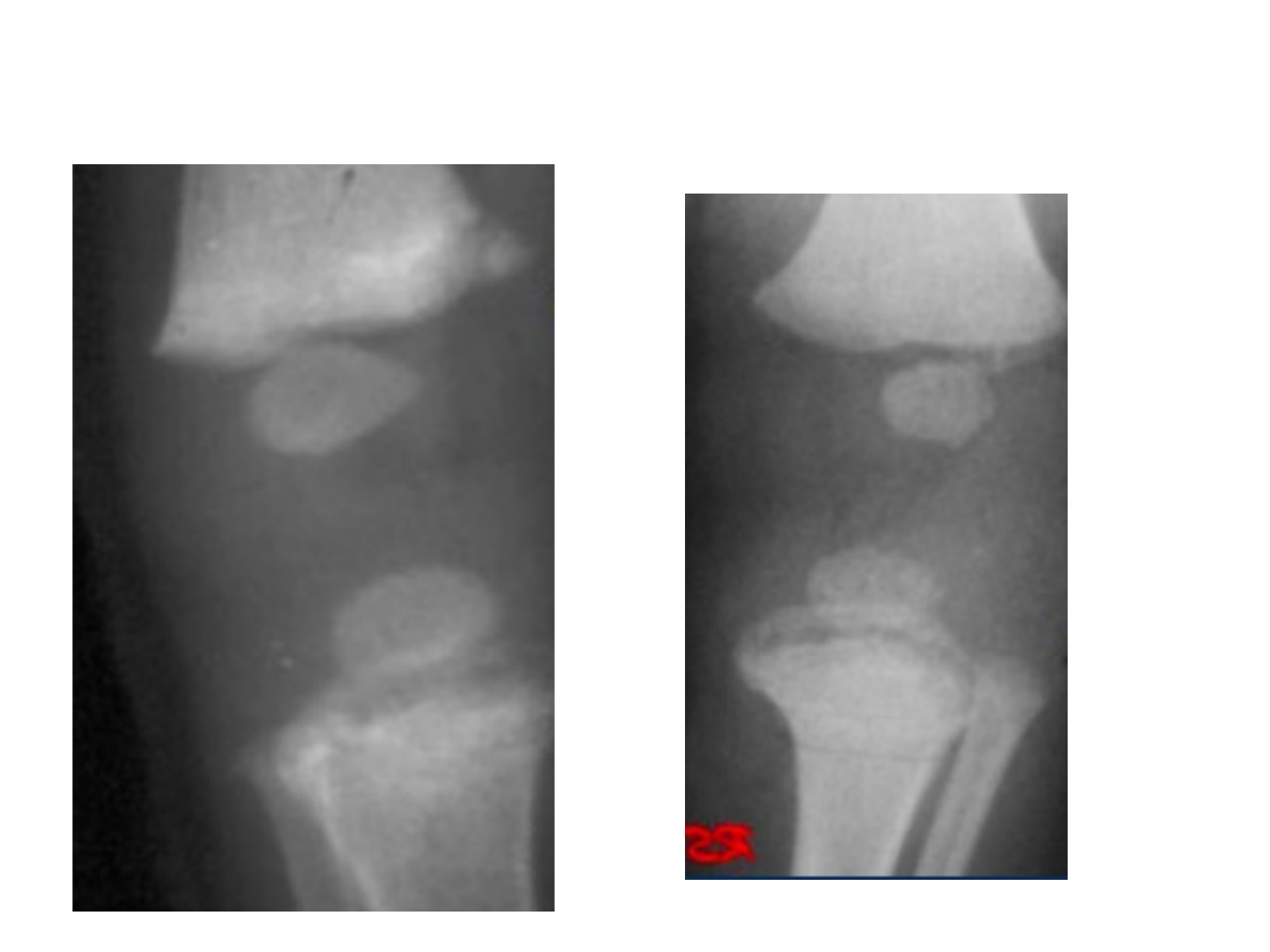Slide 117 thumbnail